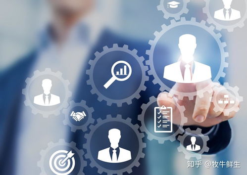 三農新政策 以網絡文化經營全面振興鄉村經濟文化發展